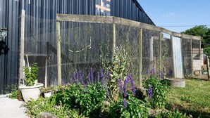 A garden with a metal fence, a potted plant, and a building with a corrugated metal exterior. - Bed and Breakfast 'Breizh' with Private Terrace, Shared Garden and Wi-Fi (CAST)