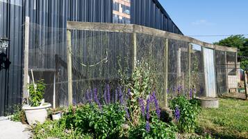 Área da propriedade