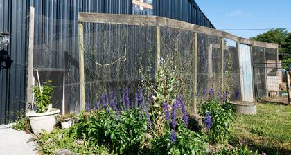 Bed and Breakfast 'Breizh' mit privater Terrasse, Gemeinschaftsgarten und WLAN