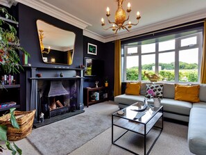 Télévision, cheminée