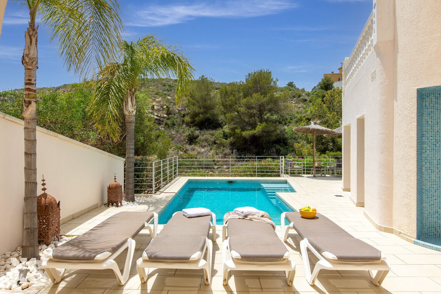 Area piscina con sdraio, una palma e vista su un paesaggio montuoso.