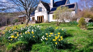 A house with a sloped roof, solar panels, and a garden with daffodils.