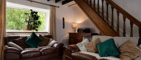 TV, fireplace, DVD player