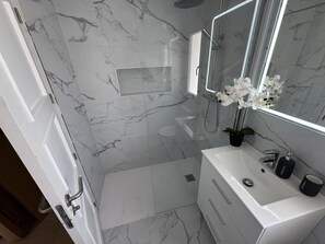 Shower, hair dryer, towels