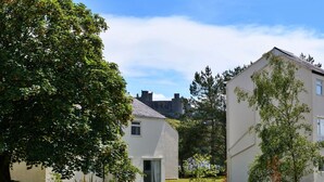 Un quartier résidentiel composé de deux maisons, dont l’une présente une porte et des fenêtres bien visibles, et un grand arbre au premier plan.