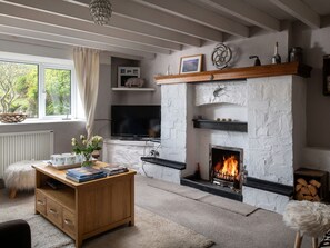 TV, fireplace, DVD player