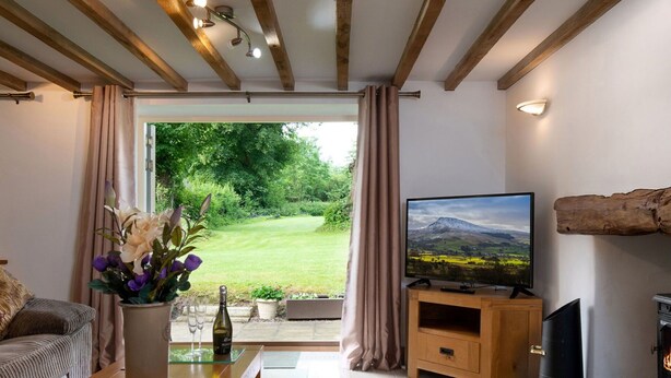 Un salon équipé d’une télévision, d’une cheminée, d’une table basse avec des magazines, et offrant une vue sur un paysage verdoyant par une fenêtre.