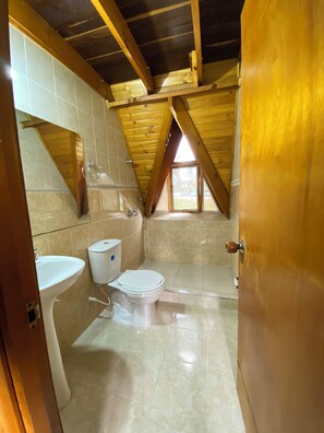 Serviettes fournies, savon, shampoing, papier toilette