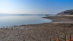 A pebbly beach with calm water and distant hills.