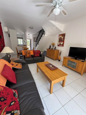 TV, DVD player, books