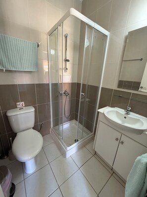Hair dryer, towels, soap, toilet paper