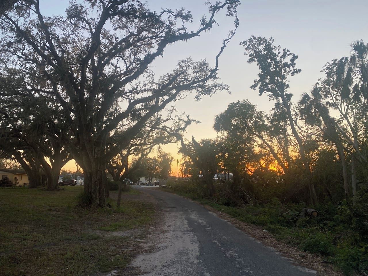 A rural road flanked by trees and vegetation, leading to a residential area.