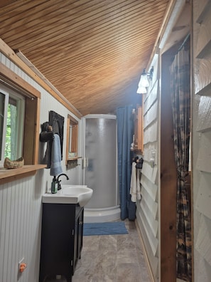 Shower, hair dryer, towels, soap - Cozy cabin in peaceful Ellijay with WiFi, AC (Ellijay)