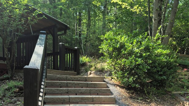 A wooden staircase leading to a covered wooden structure in a forested area.