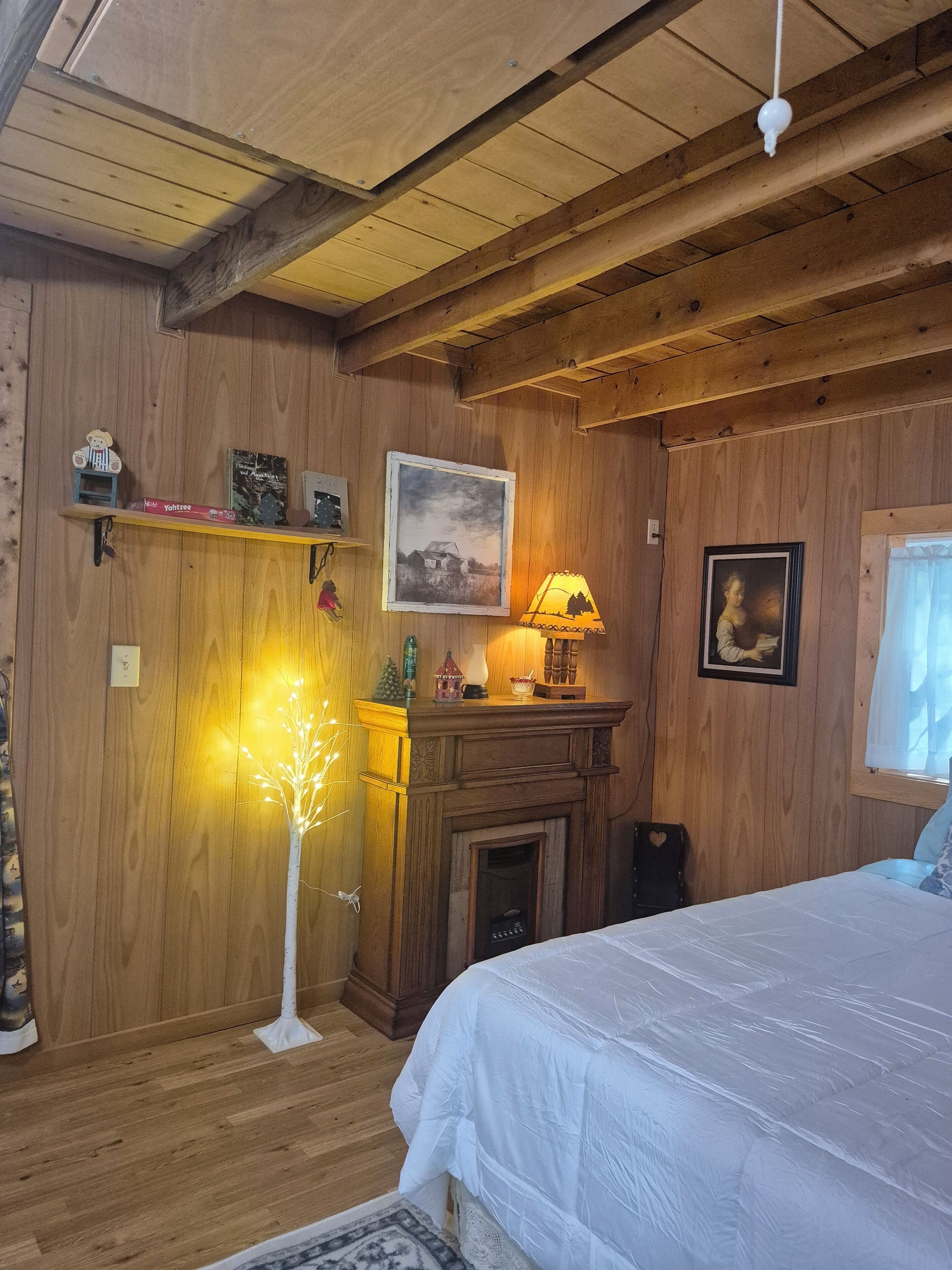 Una stanza accogliente con pareti in legno, un letto, un camino e una luce notturna.