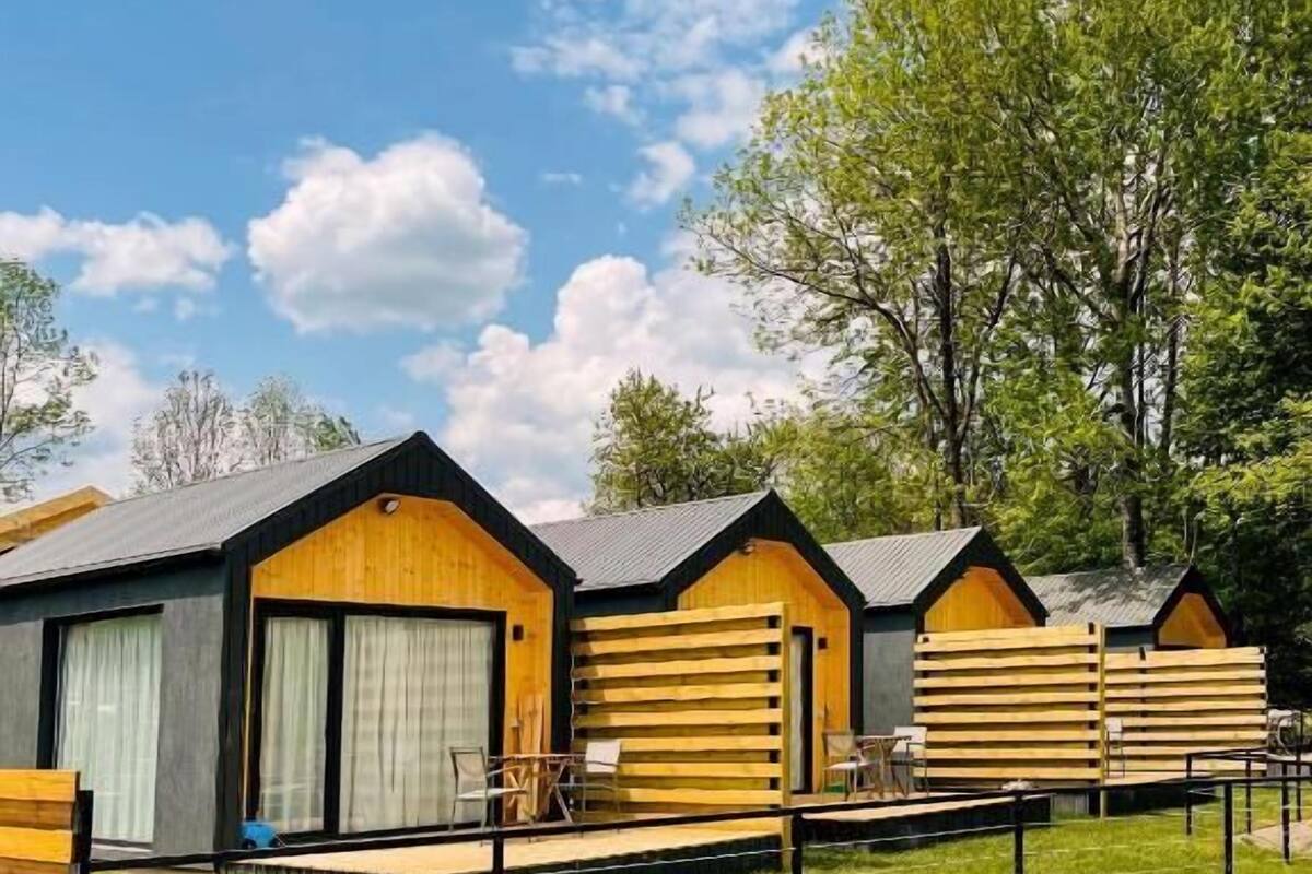 A row of wooden cabins with large windows and a grassy area in front.