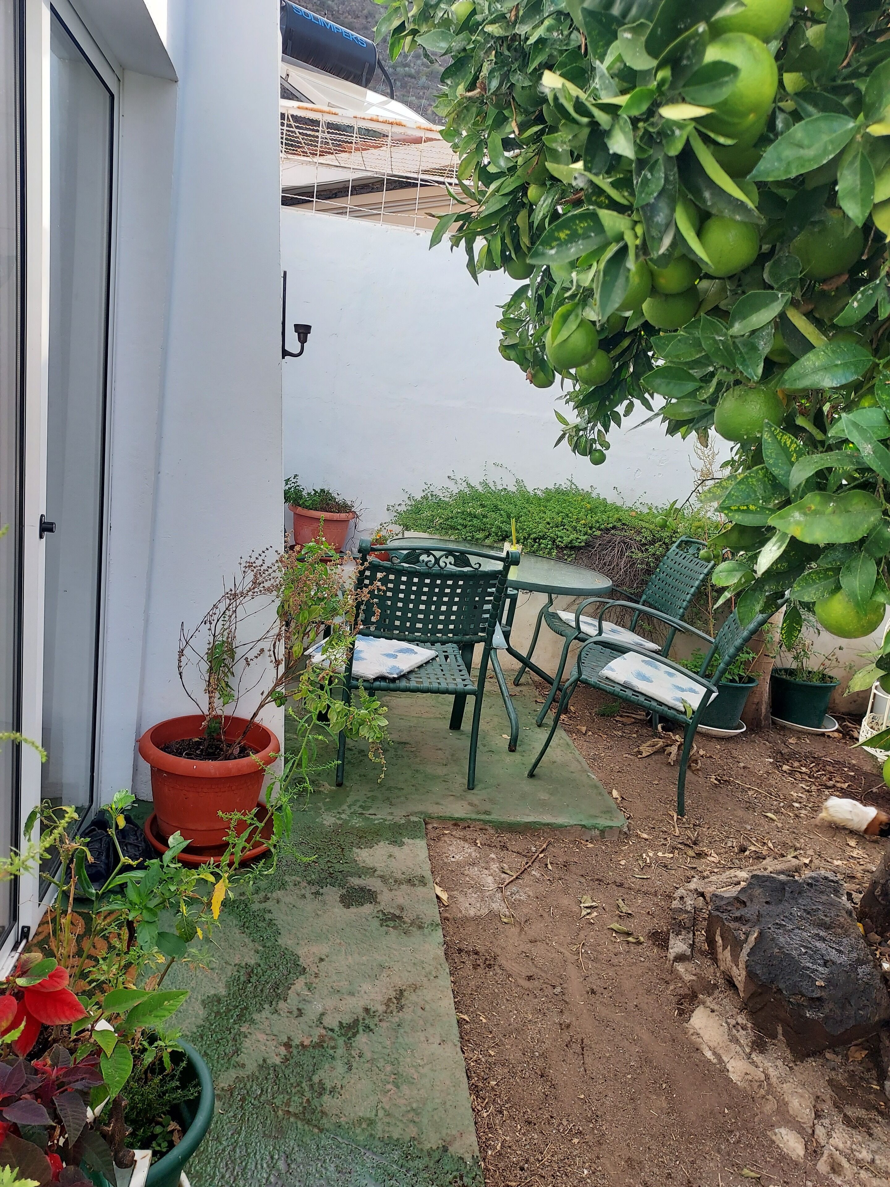 Restauration extérieure