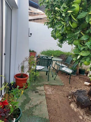 Une petite terrasse extérieure avec une table et des chaises, entourée de plantes en pot et d’un arbre fruitier.