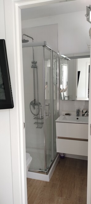Une salle de bain moderne avec une douche à parois de verre, un lavabo blanc et un miroir au-dessus du lavabo.