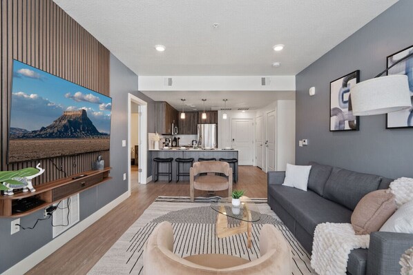 Smart TV, computer monitors