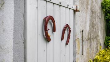 A white wall with two horseshoes mounted on it.