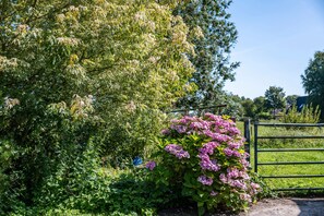Property grounds - Room 'Einzelzimmer 2' with Wi-Fi (Neuenkirchen)