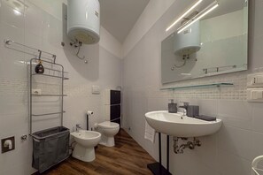Shower, hair dryer, bidet, towels