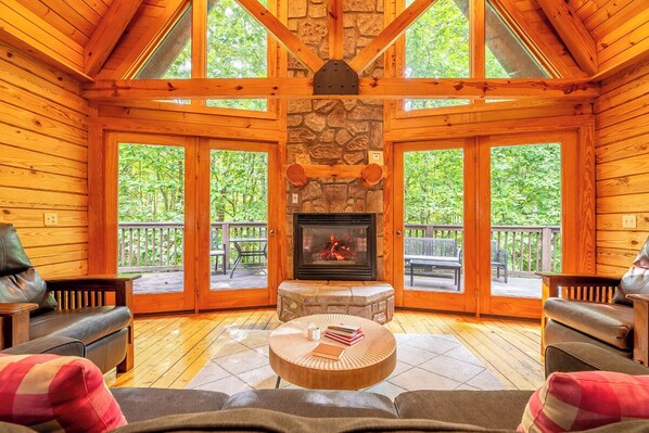 TV, fireplace, DVD player