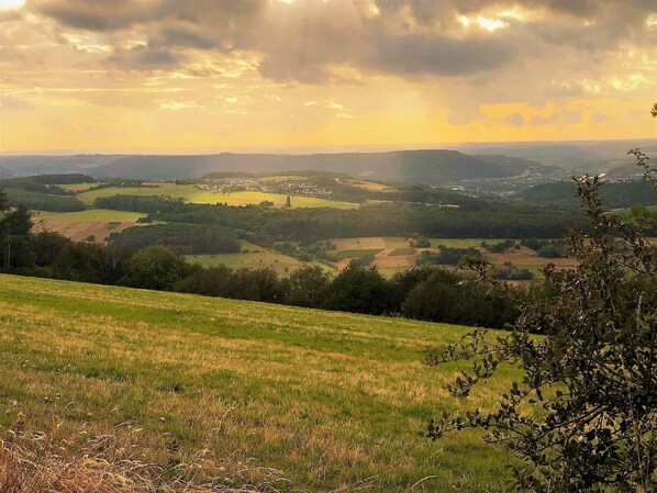 A panoramic view of a countryside landscape with rolling hills, fields, and a distant town. - Apartment in Pellingen Near Trier (Trier)