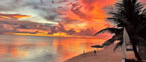 House, 3 Bedrooms, Accessible, Private Pool | Beach