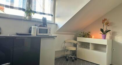 Apartment in Trier,mosl - Mosel