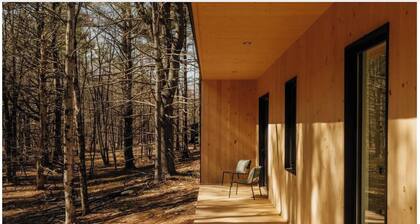 100ft of Forest Light - Modern Catskills Escape