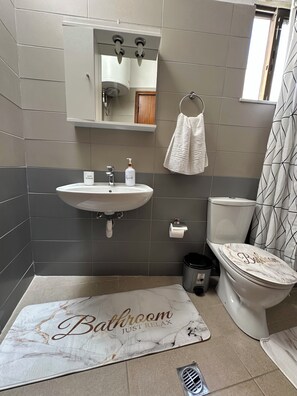 Dusj, håndklær, såpe og toalettpapir