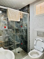A modern bathroom with a glass-enclosed shower, a toilet, and a bidet.