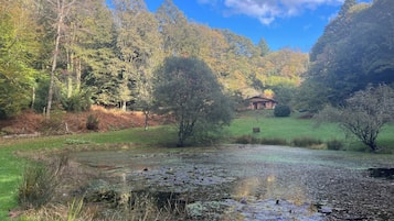 Jardines del alojamiento
