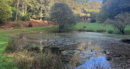  Chalet in the woods with private pond - near Lac de Saint-Pardoux