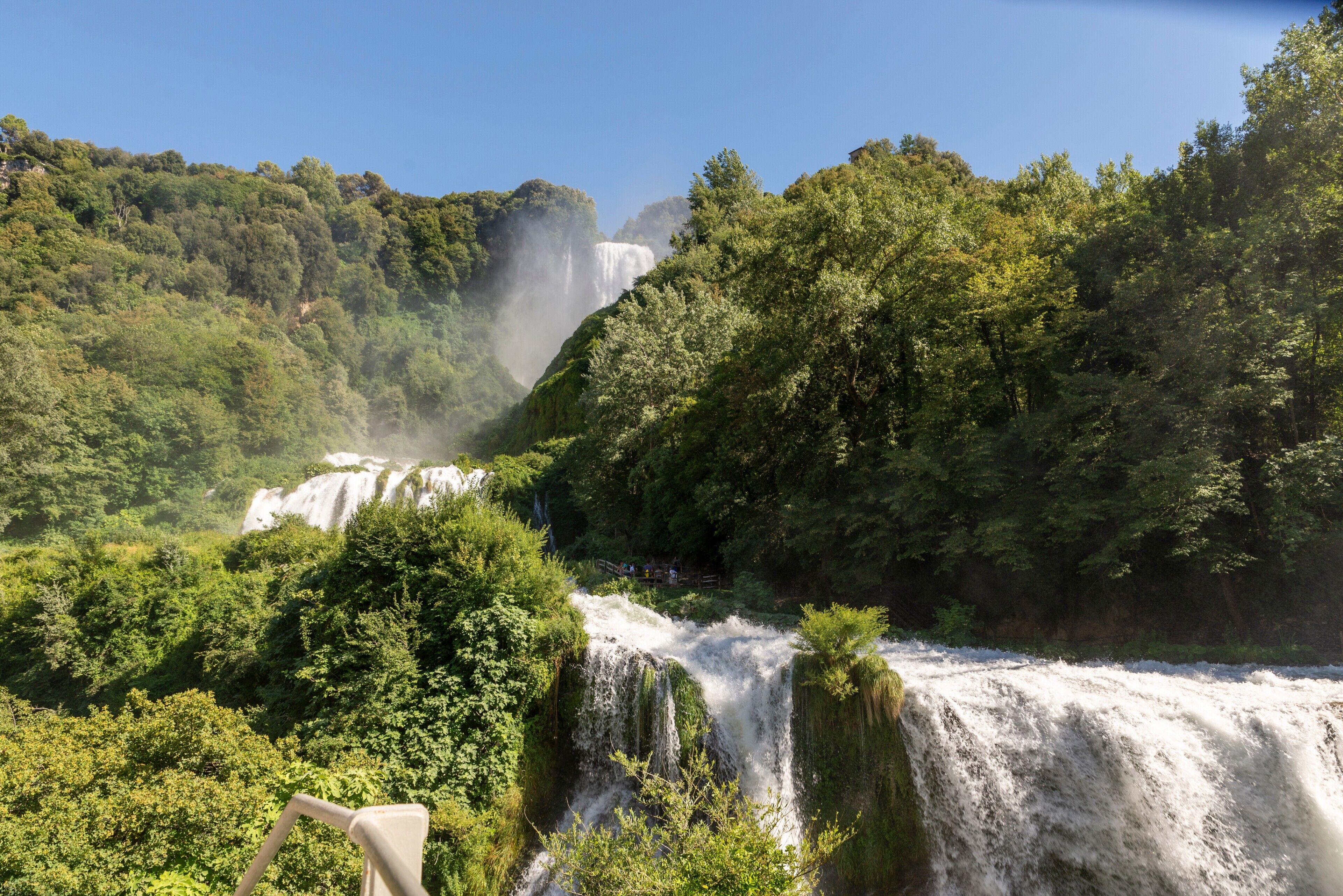 Una cascada rodeada de exuberante vegetación.
