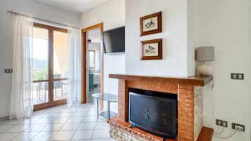 TV, fireplace