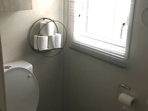 Shower - 38 The Green (Porthmadog)