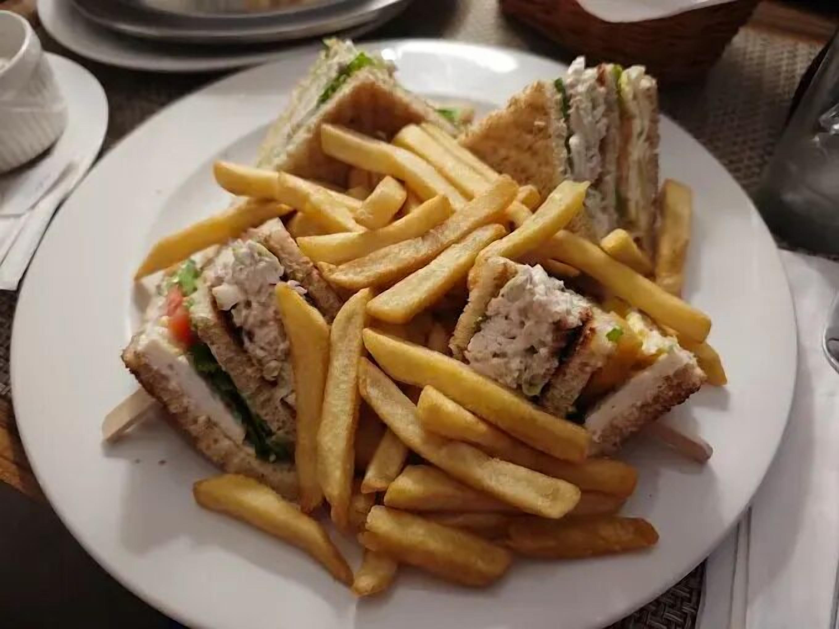 A plate with a sandwich and french fries.