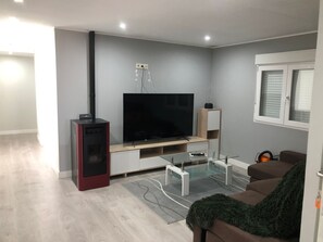 Fernseher