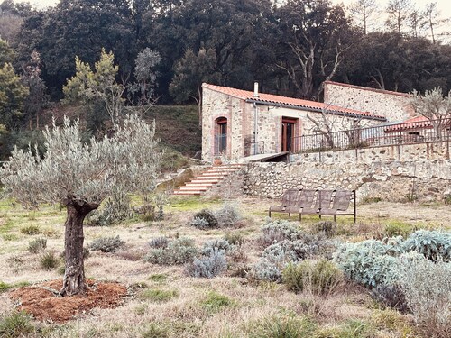 Grange rénovée, gîte au calme- Céret