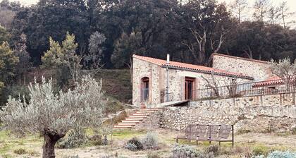 Grange rénovée, gîte au calme- Céret