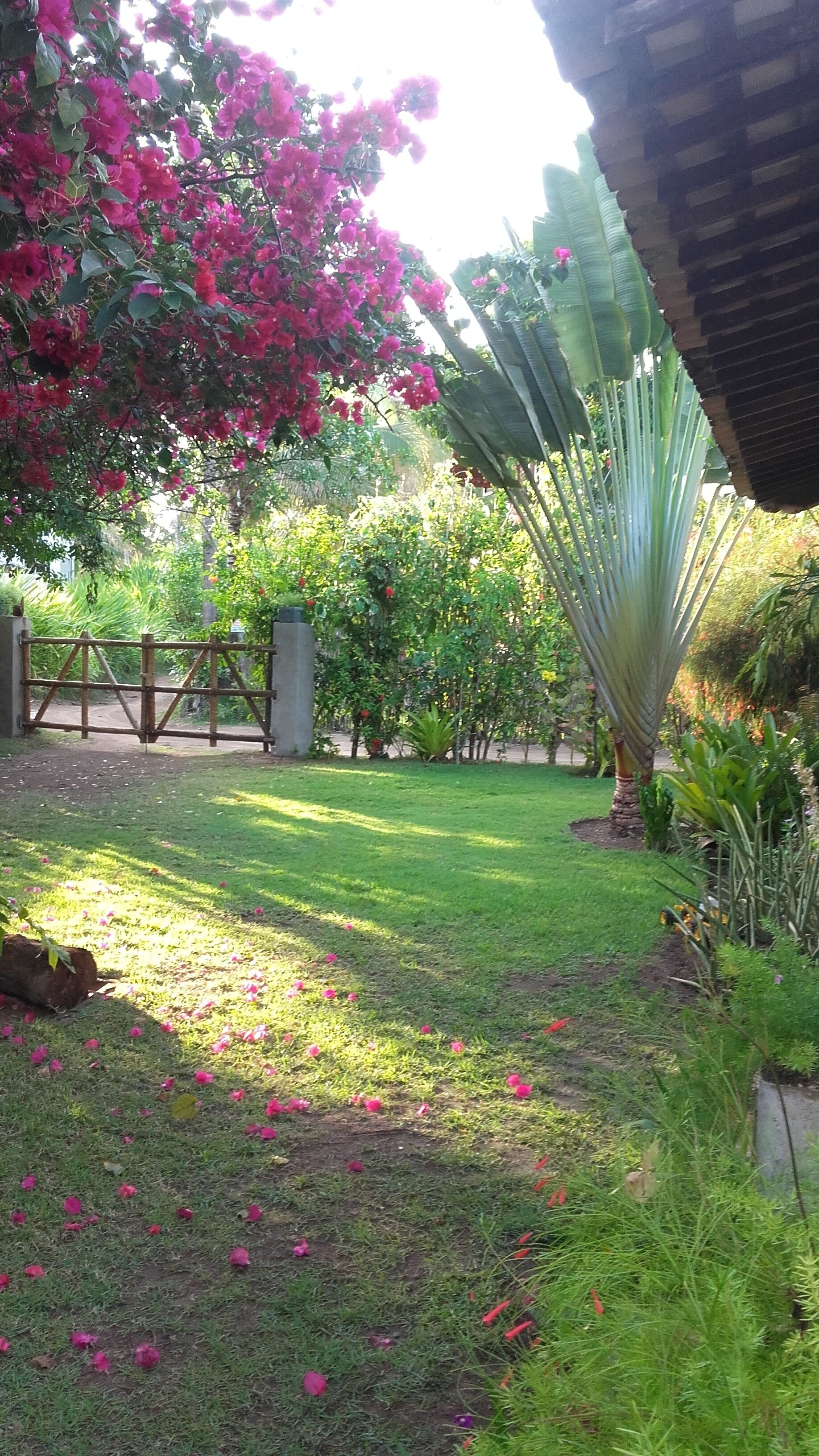 Áreas de la propiedad