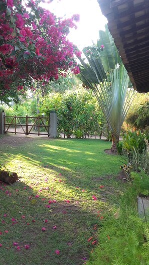 Área da propriedade