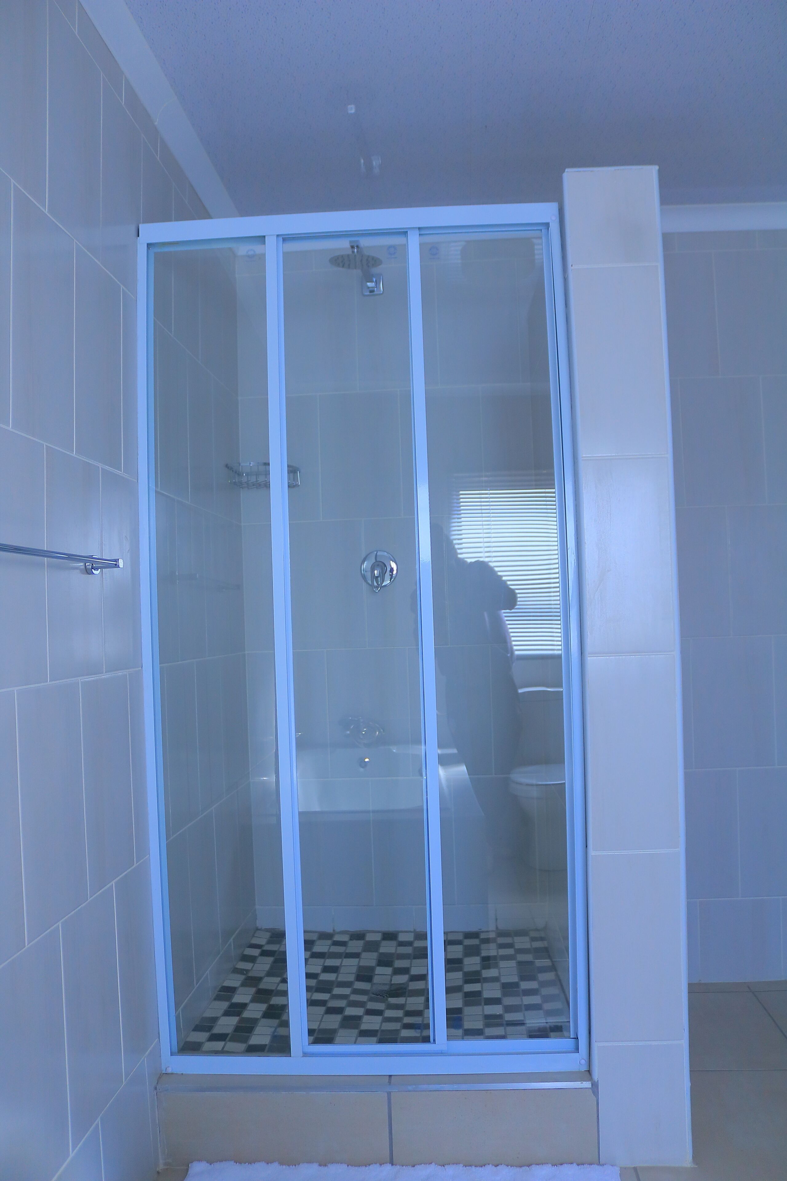 A glass-enclosed shower with a checkered floor, white tiles on the walls, and a visible handrail.
