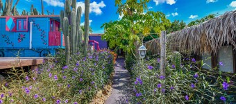 A Creative Boho Oasis in Aruba — Long-Stay Haven & Yoga Venue
