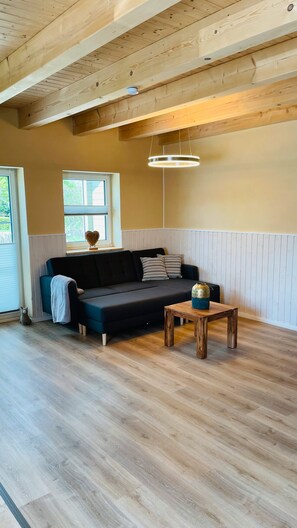 テレビ、テレビゲーム、卓球台、ステレオ