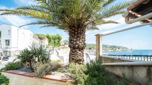 A palm tree in a planter, a white building, and a view of the sea. - Sable entre les Orteils - Studio vue mer (Banyuls-sur-Mer)