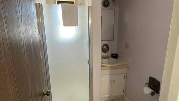 A bathroom with a glass shower door, a toilet, a sink, and a mirror.